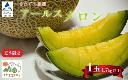 【先行予約】アールスメロン 1玉（1.7kg以上）化粧箱入り 令和8年8月上旬より順次発送 先行予約 マスクメロン