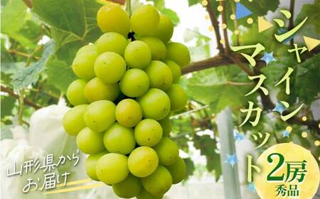 シャインマスカット 900g×2房 ギフト箱入り 秀品 山形県産 【令和8年9月中旬発送】 FSY-2235
