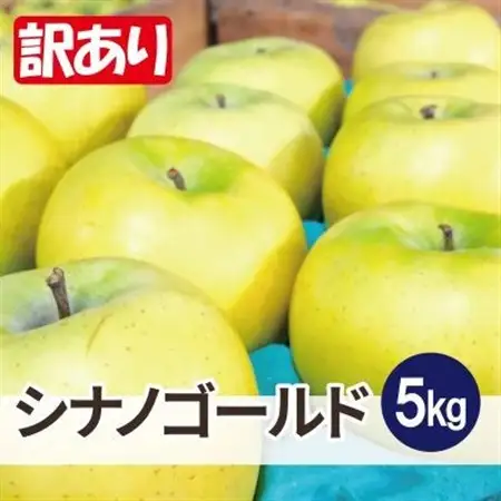 【26年6月より順次発送】平均糖度13度以上! シナノゴールド 約5kg 訳あり  クール便【配送不可地域：離島・沖縄県】【1610028】