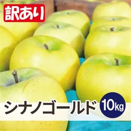 平均糖度13度以上! シナノゴールド 約10kg 訳あり  クール便【配送不可地域：離島・沖縄県】【1610042】