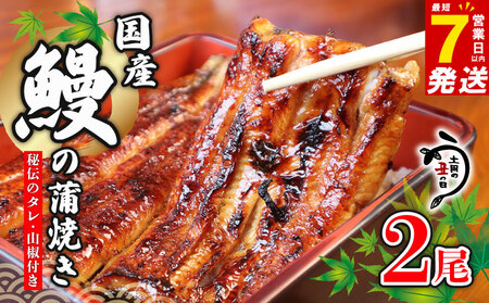 鰻 国産 うなぎ 2尾 鰻