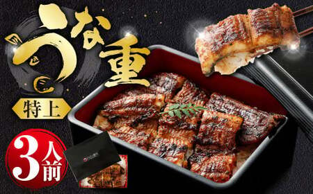 うな重 （特上） 3人前 鰻 ウナギ 鰻重 うなぎの蒲焼 鰻の蒲焼 蒲焼き タレ うなぎのタレ 山椒 ごはん ご飯 国産