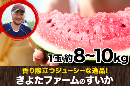 【先行予約】すいか 1玉 8~10kg きよたファーム  期間限定｜すいか