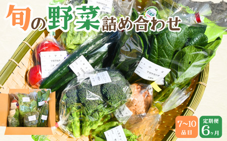 【6ヶ月定期便】新鮮野菜の産直 7～10品目 ＜楠こもれびの郷「楠四季菜市」＞｜野菜 宇部