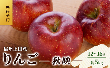 りんご 信州上田産 秋映 家庭用 約5kg リンゴ 林檎 5kg 果物 くだもの フルーツ デザート 旬の果物 旬のフルーツ 傷 長野県 長野 上田市
