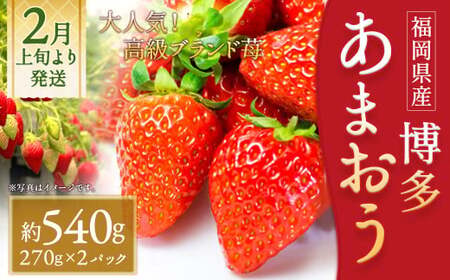 いちご「あまおう」 約270g×2パック 合計 約540g【2027年2月上旬～3月下旬発送】