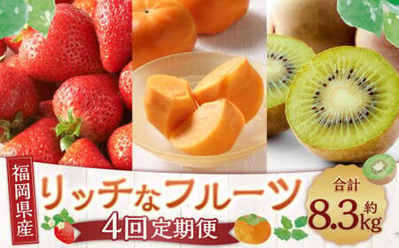 【4回定期便】福岡のリッチなフルーツ定期便 くだもの いちご キウイ 柿 【2026年10月下旬～2027年1月下旬発送予定】