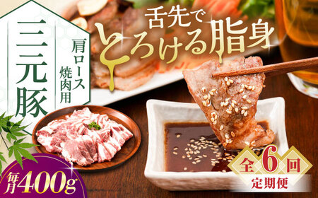 【全6回定期便】平田牧場 肩ロース 焼肉用 400g (200g×2P) 豚肉 ロース スライス [AJAP149]