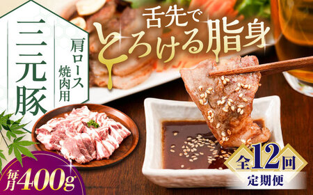【全12回定期便】平田牧場 肩ロース 焼肉用 400g (200g×2P) 豚肉 ロース スライス [AJAP150]