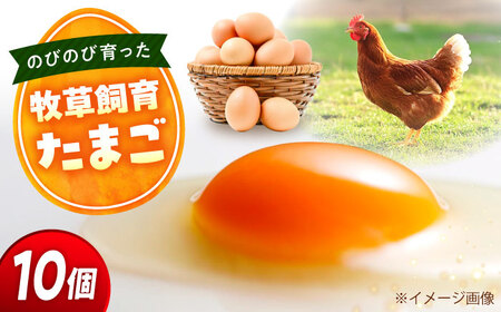 天心山たまご 10個 [BABW012]たまご