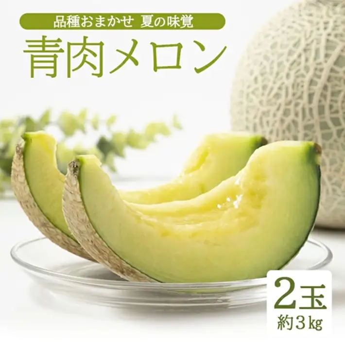SA2978　庄内砂丘 『品種おまかせ青肉メロン』　約3kg(2玉入)