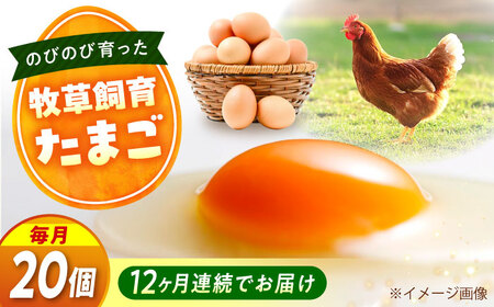 【全12回定期便】天心山 たまご 20個（10個入り×2パック）[BABW020] 卵