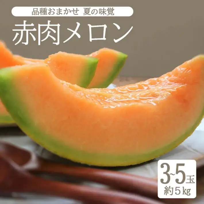 SB0922　庄内砂丘 『品種おまかせ赤肉メロン』　約5kg(3～5玉入)