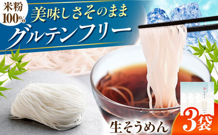 そうめん 【グルテンフリー】米粉生そうめん [ANGM003] そうめん