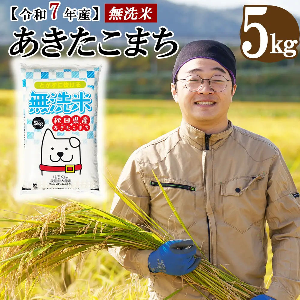 令和7年産】秋田県産「あきたこまち（無洗米）」 5kg（5kg×1袋