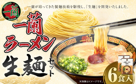 【寄附額改定↓】一蘭ラーメン生麺セット（6食入）一蘭 ラーメン 生麺 麺 豚骨 詰め合わせ