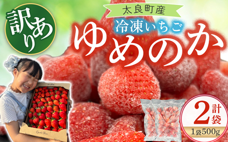 訳あり！太良町産「ゆめのか」冷凍いちご500ｇ×２袋 佐賀県 太良町 MA15