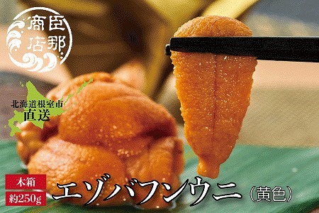 エゾバフンウニ(黄色)約250g×1折 D-22001