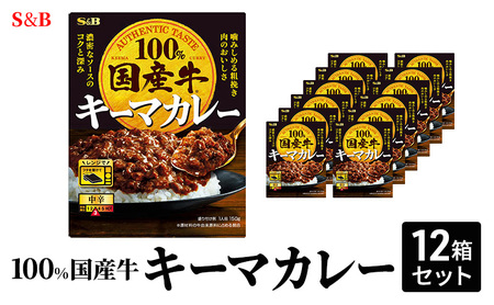 S&B 国産牛100% キーマカレー 12箱セット