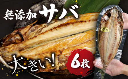 サバ 干物 個包装 6枚 無添加 サバ