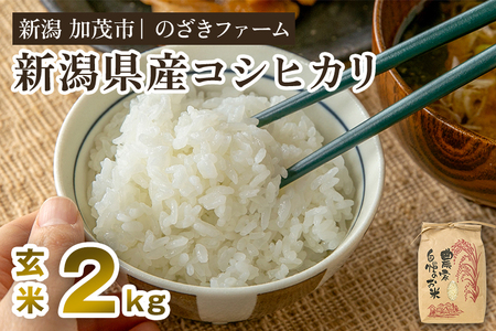 【令和8年産新米先行予約】新潟県産コシヒカリ 玄米2kg（2kg×1袋）（従来品種）《9月中旬から順次出荷》