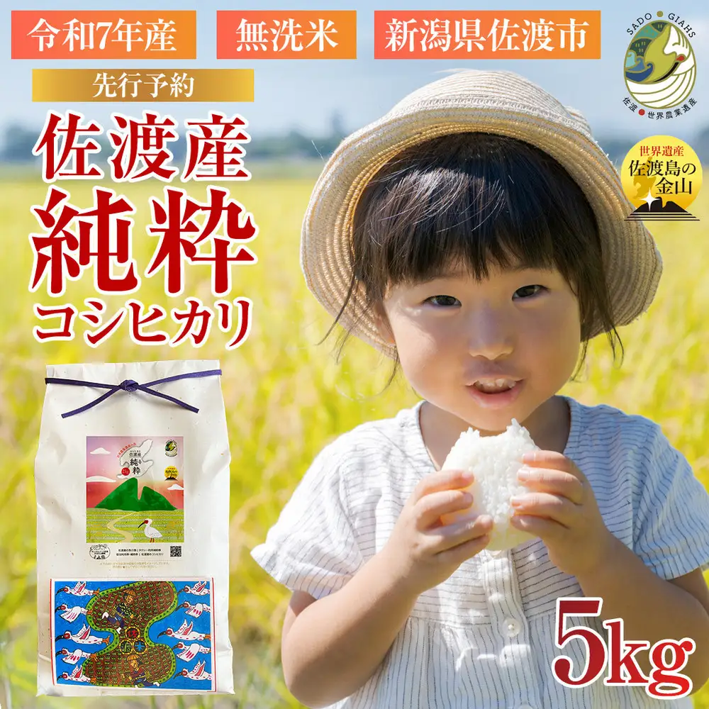 【新潟県佐渡】純粋コシヒカリ＜数量限定＞ 令和７年産 精米【無洗米】5kg 送料無料