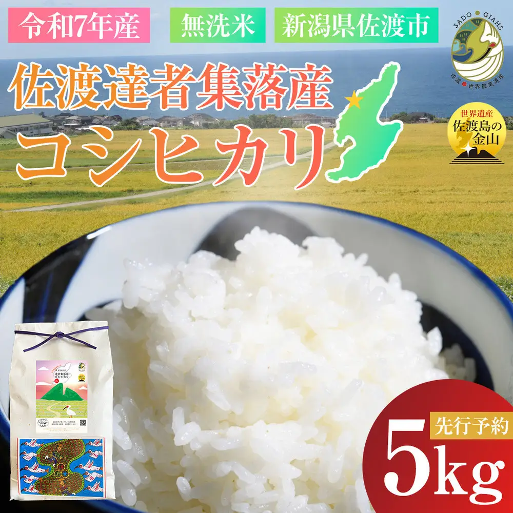 【新潟県佐渡】達者集落産コシヒカリ＜数量限定・生産地域限定＞ 令和７年産 精米【無洗米】5kg 送料無料