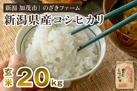 【令和8年産新米先行予約】新潟県産コシヒカリ 玄米20kg（20kg×1袋）（従来品種）《9月中旬から順次出荷》