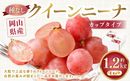 《種なし》 岡山県産 クイーンニーナ 手軽なカップタイプ 約300g × 4カップ 計約1.2kg【2026年8月下旬-9月下旬発送予定】／ ぶどう ブドウ 葡萄 大粒 種なし 種無し フルーツ 果物 くだもの 果実 カップ入り カップ お手軽