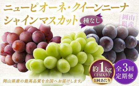 【定期便3回】 ［種なし］ 岡山県産 ニューピオーネ ・ クイーンニーナ ・ シャインマスカット 1kg箱（2房入り）【2026年8月下旬発送開始】 ／ ぶどう ブドウ 葡萄 大粒 種なし 種無し フルーツ 果物 くだもの 果実