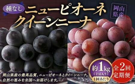 【定期便2回】 ［種なし］ 岡山県産 ニューピオーネ ・ クイーンニーナ 1kg箱（2房入り）【2026年8月下旬発送開始】 ／ ぶどう ブドウ 葡萄 大粒 種なし 種無し フルーツ 果物 くだもの 果実
