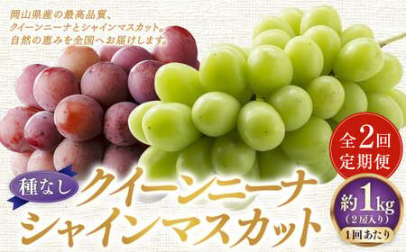 【定期便2回】 ［種なし］ 岡山県産 クイーンニーナ ・ シャインマスカット 1kg箱（2房入り）【2026年9月上旬発送開始】 ／ ぶどう ブドウ 葡萄 大粒 種なし 種無し フルーツ 果物 くだもの 果実