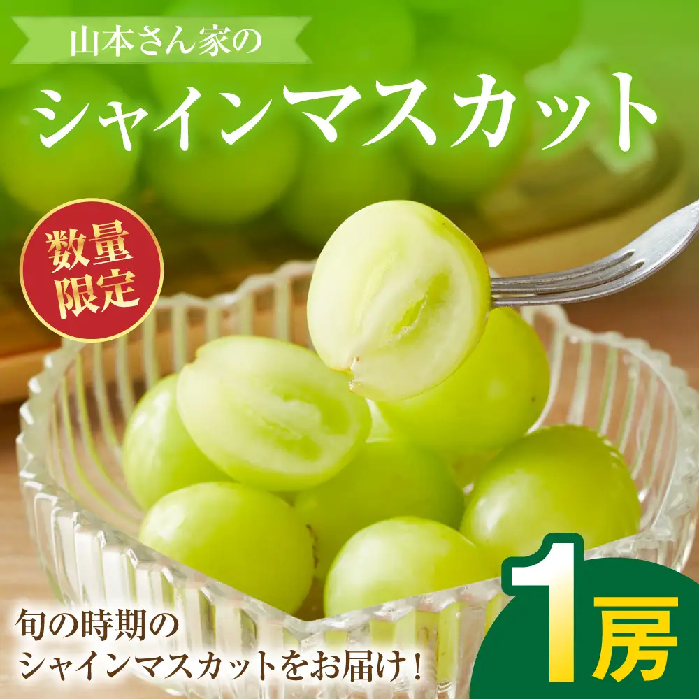 【先行予約】 熊本県八代市産 山本さん家の「シャインマスカット」 1房入り(約500g) ぶどう フルーツ マスカット 旬 青果物 果物 新鮮 ギフト 贈り物 【2026年8月上旬より順次発送】