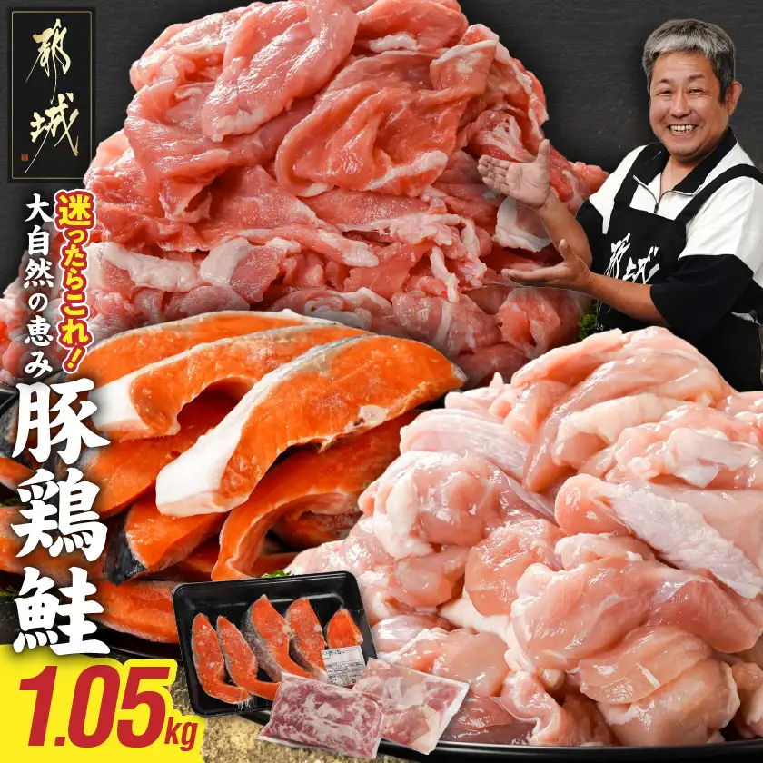 ≪肉×魚≫小分け3種セット(豚切り落とし250g・鶏モモカット済300g・銀鮭500g)〔AA-8413〕_(都城市) 小分けパック 冷凍 お弁当 おかず
