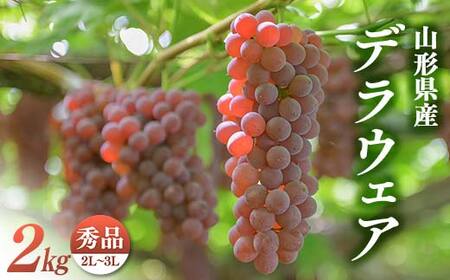≪2026年先行予約≫【安達農園】山形県産 ぶどう デラウェア 約2kg(10～12房) 秀品 小粒 種無し 2026年7月中旬から順次発送 F2Y-6290