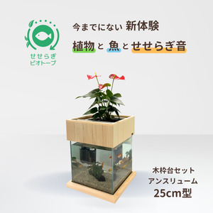 せせらぎビオトープ　25cm型基本+木枠台セット（アンスリウム）