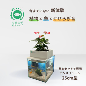 せせらぎビオトープ　25cm型基本+照明セット（アンスリウム）