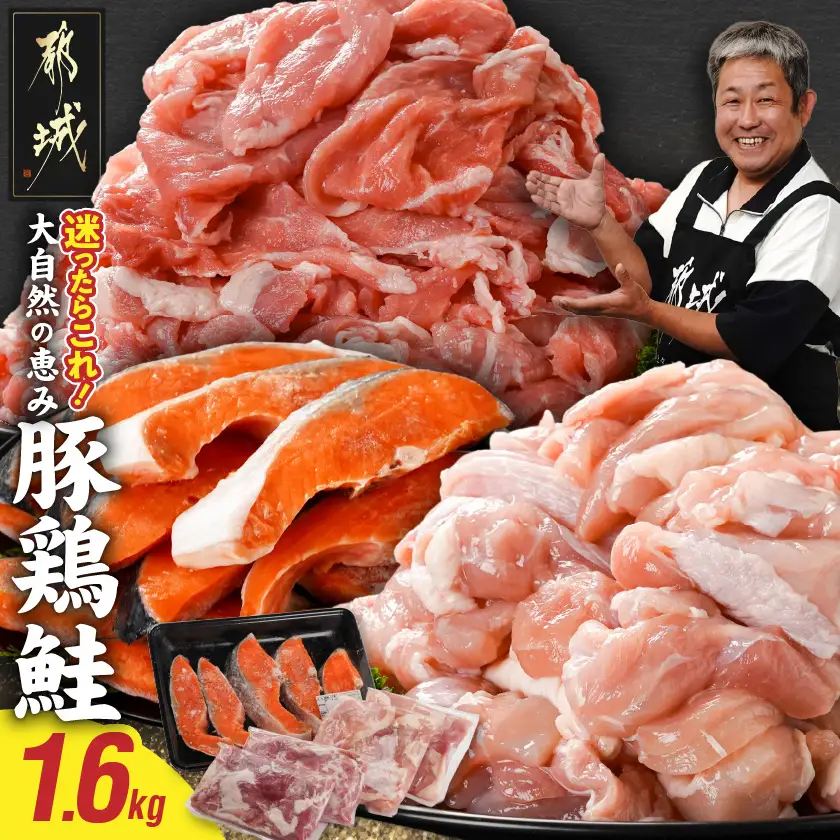 ≪肉×魚≫小分け3種セット(豚切り落とし250g×2P・鶏モモカット済300g×2P・銀鮭500g)〔13-8402〕_(都城市) 小分けパック 冷凍 お弁当 おかず
