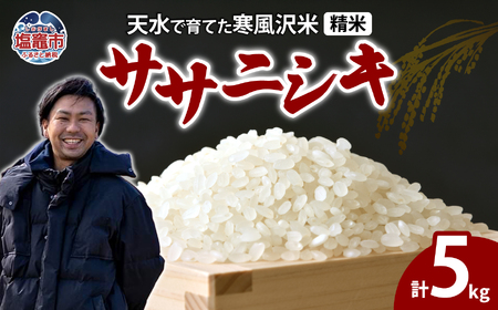 米 5kg ササニシキ 精米 (11月～順次発送) お米 ｜ne00001-5
