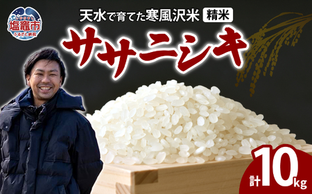 【先行予約】 米 10kg ササニシキ 精米 (11月～順次発送) お米 新米 ｜ne00001-10