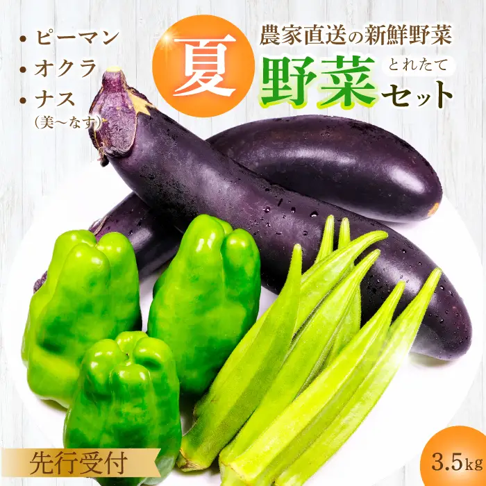 【先行受付】みのる農園 農家直送！夏野菜セット(ナス、ピーマン、オクラ)3.5kg やさい 詰合せ BBQ 2026年7月～10月上旬お届け 広島県三原市 206002