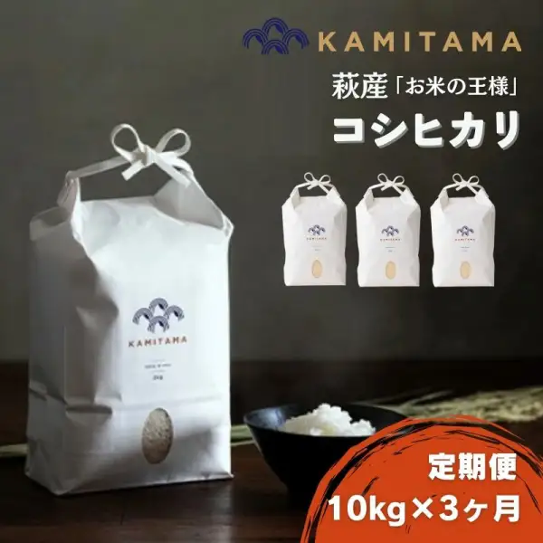 定期便 3か月 コシヒカリ 令和7年 10kg 米 コメ こめ 萩産 KAMITAMA