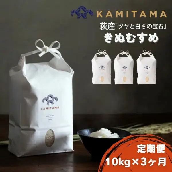 定期便 3か月 きぬむすめ 令和7年 10kg 米 コメ こめ 萩産  KAMITAMA