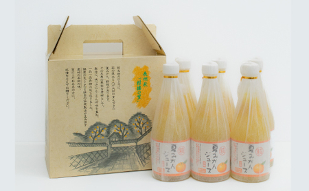 萩夏みかんジュース 500ml×6本セット