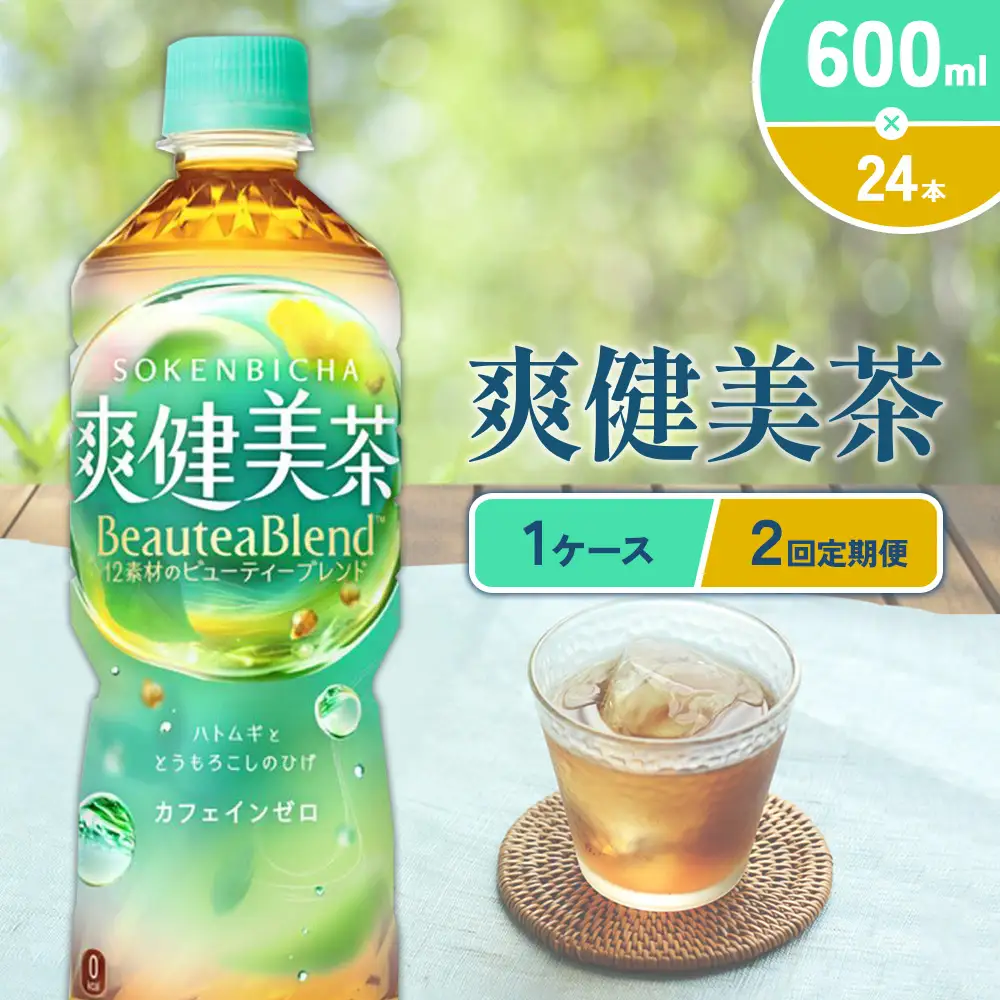 （2回定期便）爽健美茶 600ml PET【コカ・コーラ】ペットボトル 1ケース(24本) 定期便 2回(48本) セット お茶 カフェインゼロ ノンカフェイン ハトムギ ブレンド茶 宮崎県 えびの市 送料無料