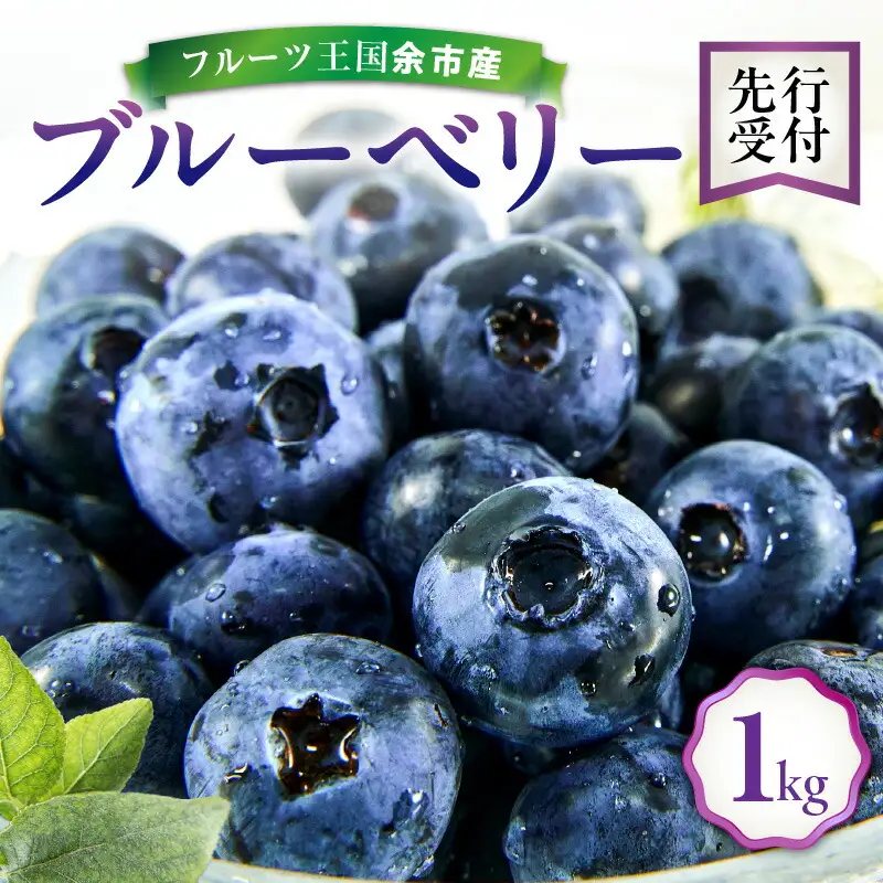 【先行予約：2026年8月上旬以降発送】フルーツ王国余市産 生ブルーベリー 1Kg【ニトリ観光果樹園】_Y074-0160
