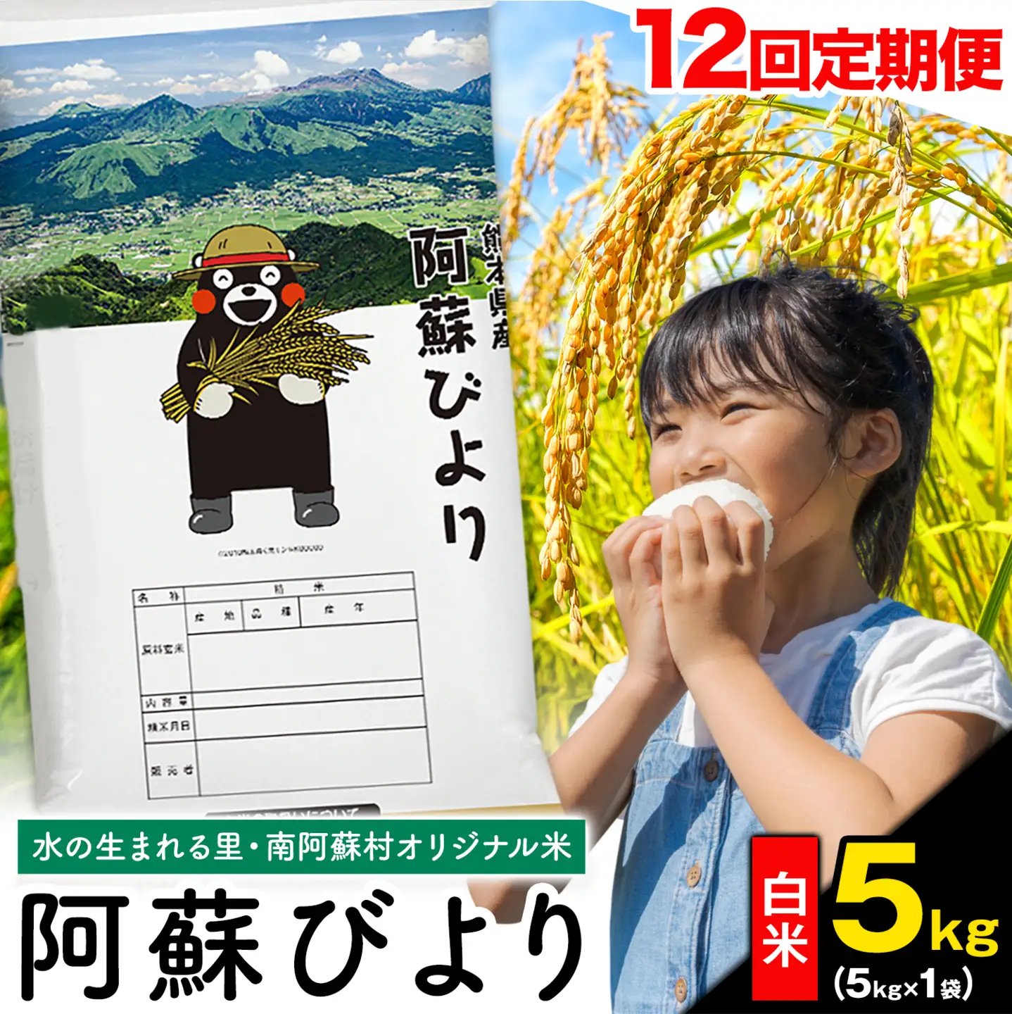 【12ヶ月定期便】阿蘇びより 白米 5kg (5kg×1袋)《お申込み翌月から出荷》 ｜国産米 人気米 熊本県産米 お米