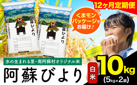 【12ヶ月定期便】阿蘇びより 白米 10kg (5kg×2袋)《お申込み翌月から出荷》 ｜国産米 人気米 熊本県産米 お米