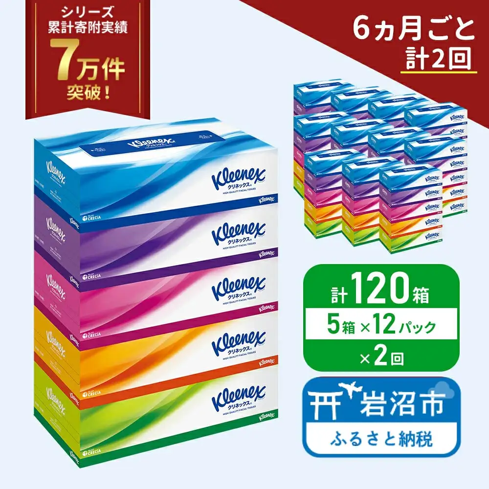 定期便 ティッシュ クリネックス 1ケース ( 5箱入 × 12パック )《 6ヶ月ごと計  2回 》 ティッシュ セット