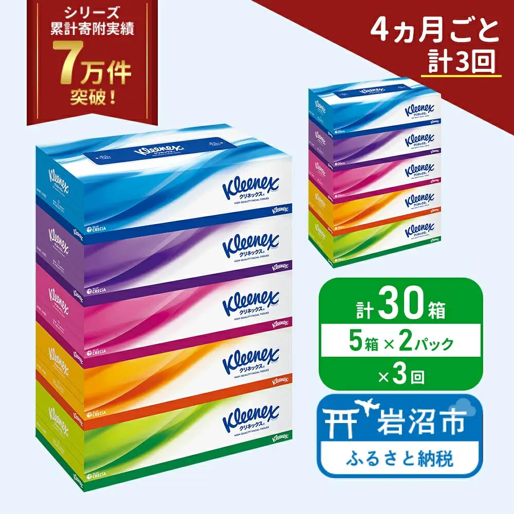定期便 ティッシュ クリネックス 5箱入 × 2パック《 4ヶ月ごと計  3回 》 ティッシュ セット